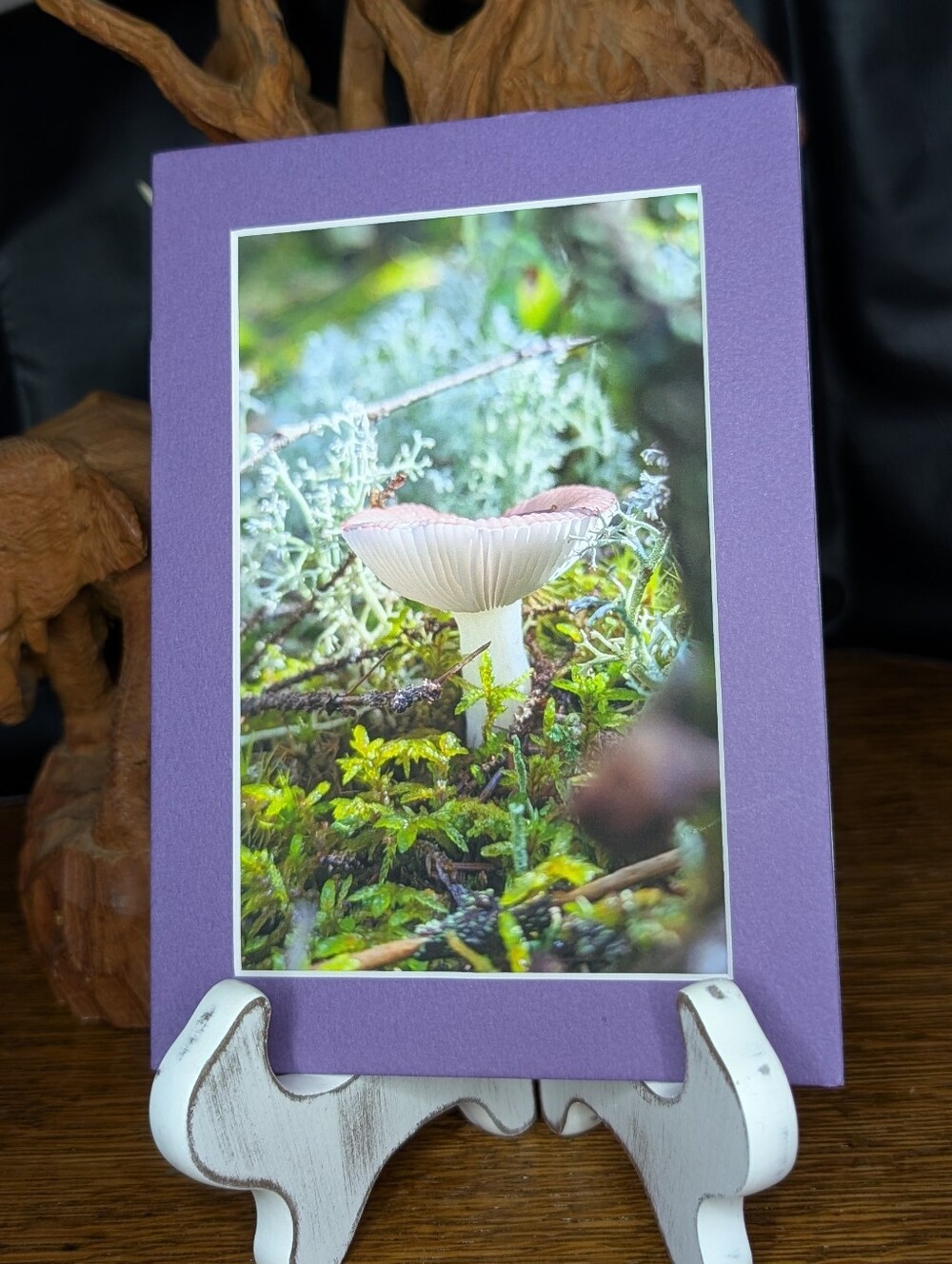 Original Photography Mushroom 5x7 Purple Matted Print